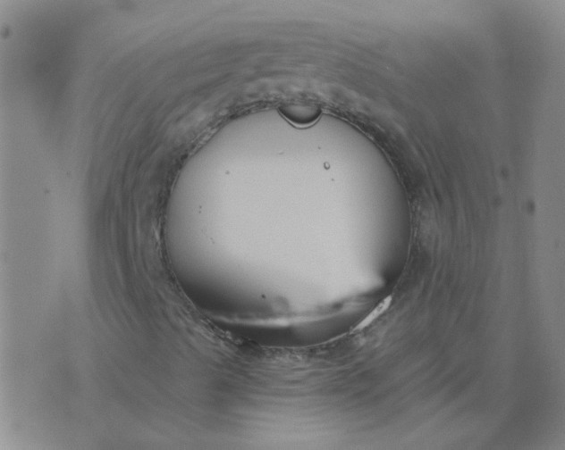 X0000076391489200610202051