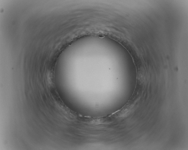 X0000076391490200610202051