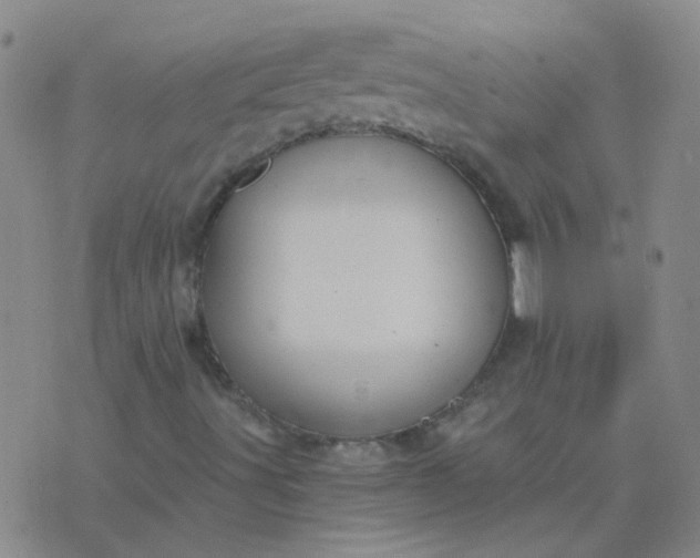 X0000076391491200610202051