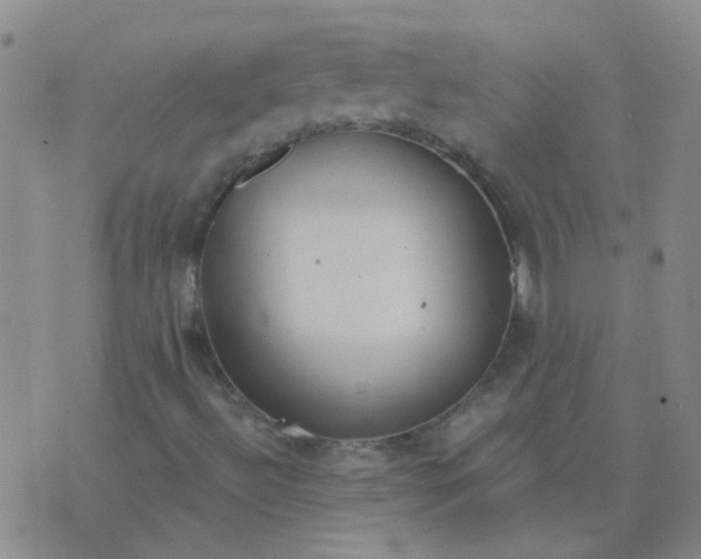 X0000076391492200610202051