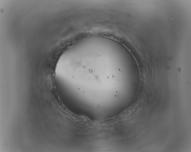 X0000076391493200610202051