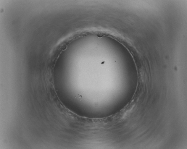 X0000076391494200610202051