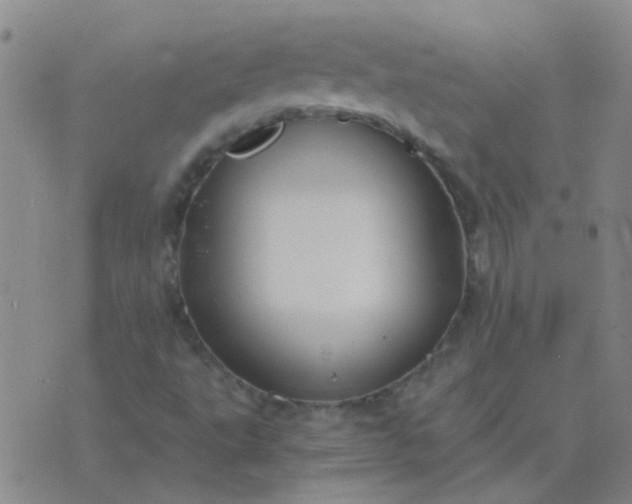 X0000076391495200610202051