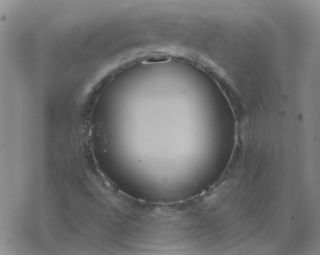 X0000076391496200610202051