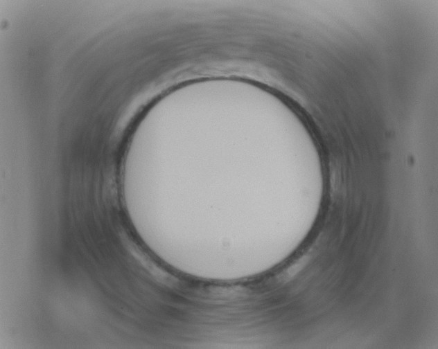 X0000076391498200610202051