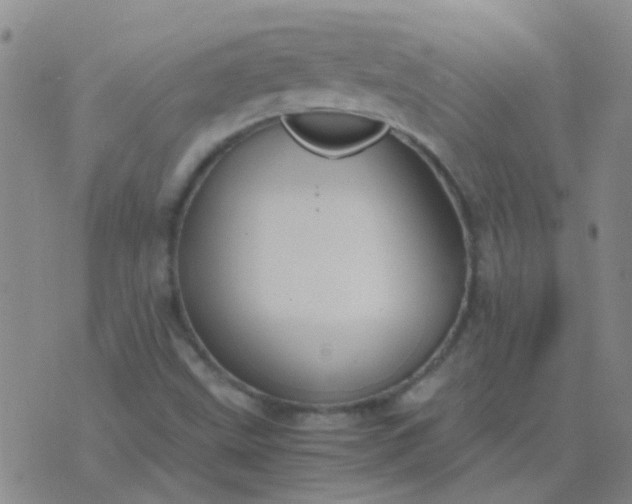 X0000076391499200610202051