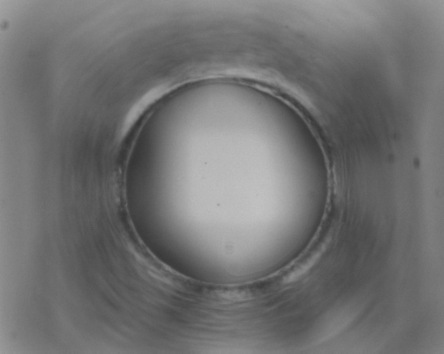 X0000076391501200610202051