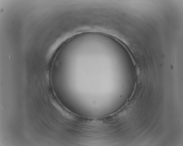 X0000076391503200610202051