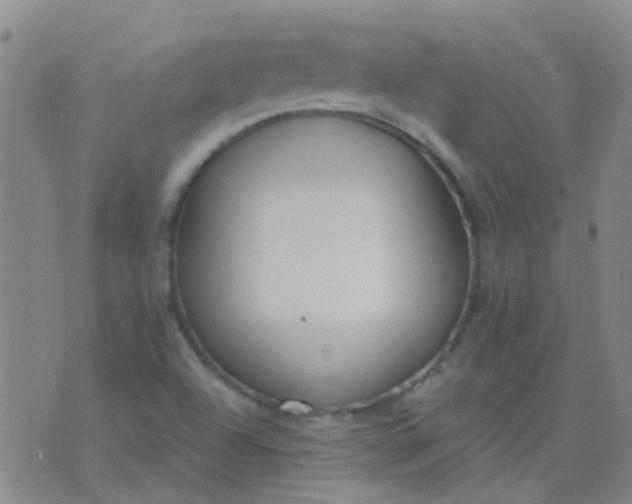 X0000076391504200610202051