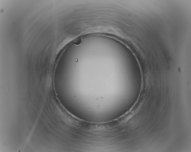 X0000076391505200610202051