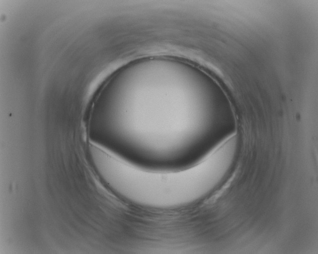 X0000076391509200610202051