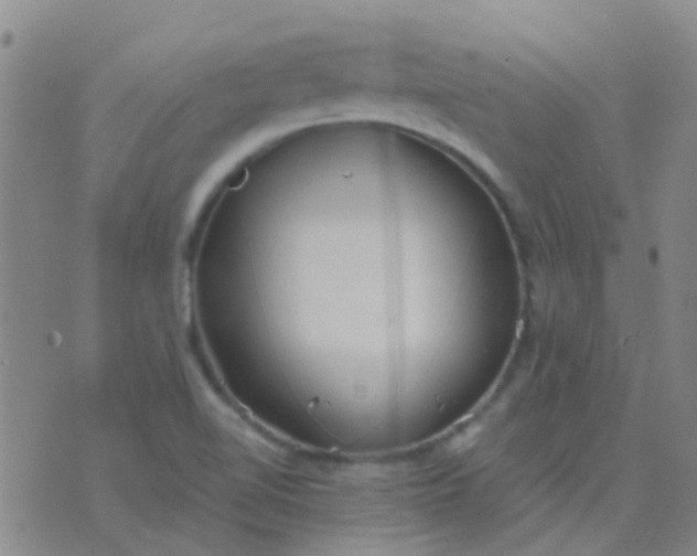 X0000076391510200610202051