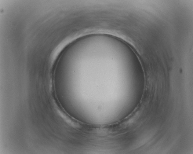 X0000076391511200610202051