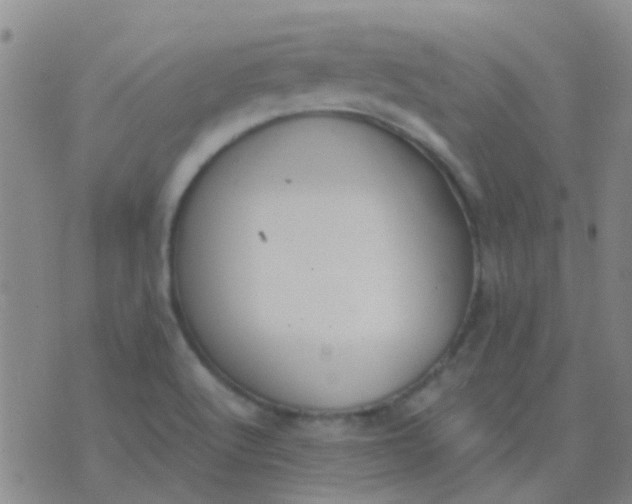 X0000076391512200610202051