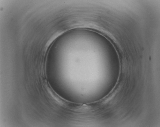 X0000076391513200610202051