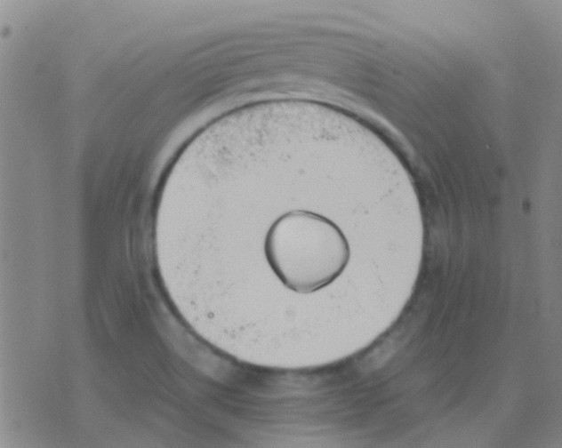 X0000076391514200610202051