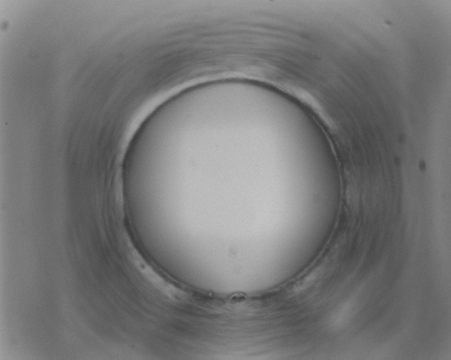 X0000076391516200610202051