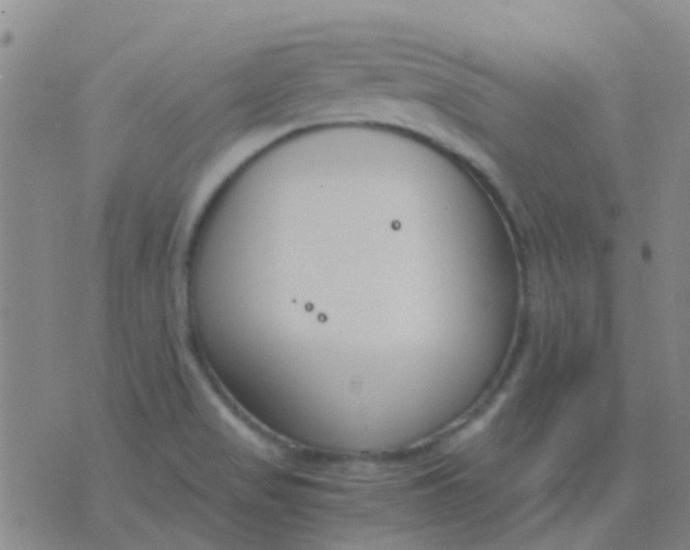 X0000076391517200610202051