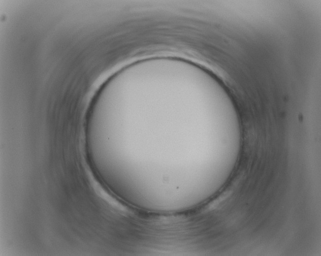 X0000076391518200610202051