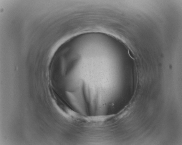 X0000076391519200610202051