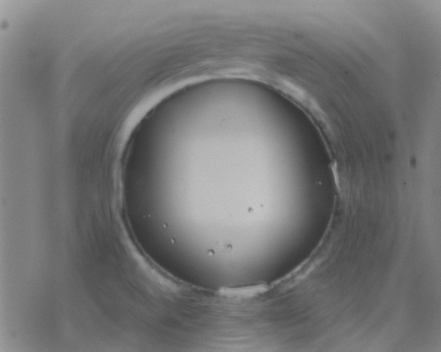 X0000076391520200610202051