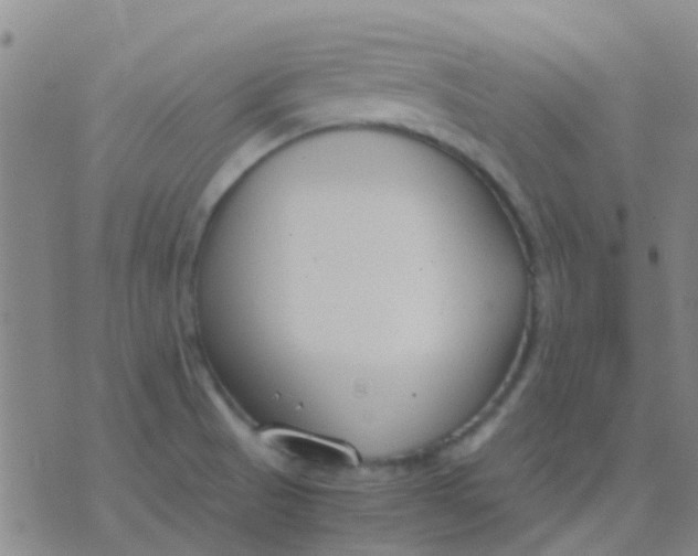 X0000076391521200610202051