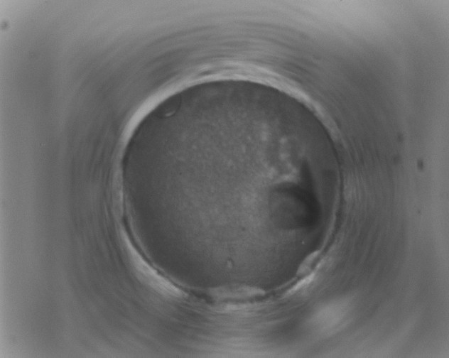 X0000076391522200610202051