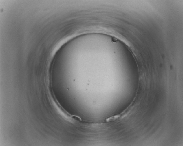 X0000076391523200610202051