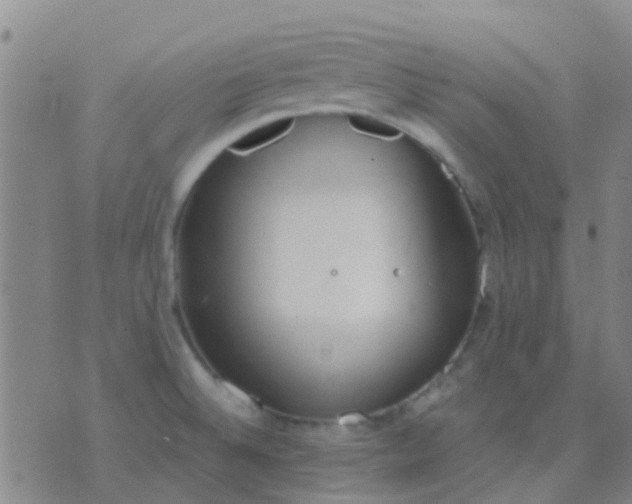 X0000076391524200610202051