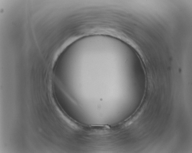 X0000076391525200610202051