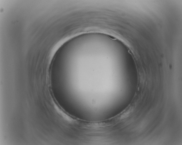 X0000076391527200610202052