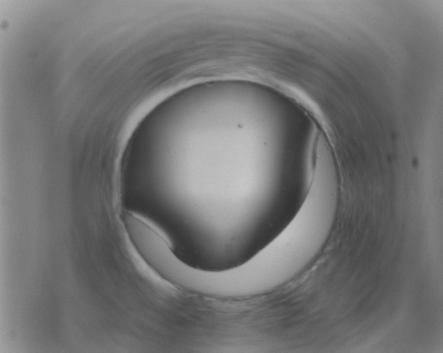 X0000076391528200610202052