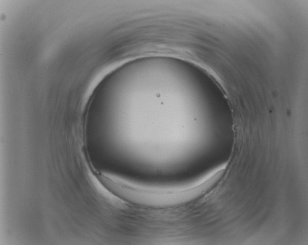 X0000076391531200610202052