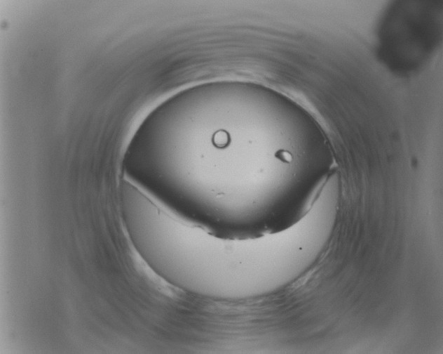 X0000076391532200610202052