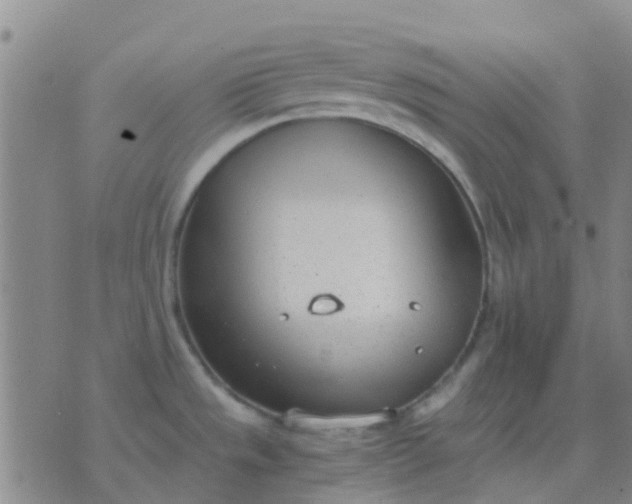 X0000076391533200610202052