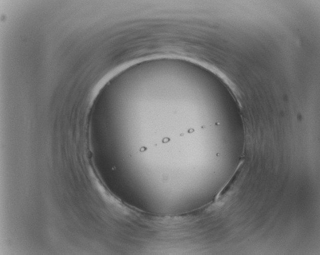 X0000076391534200610202052