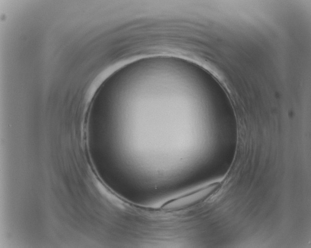 X0000076391535200610202052