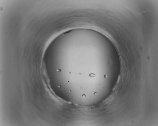 X0000076391536200610202052