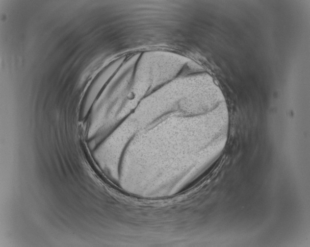 X0000076390002200610271604