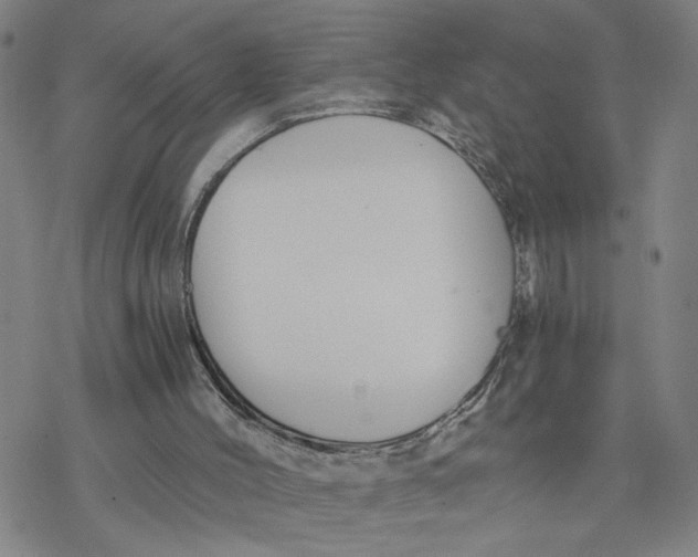 X0000076390004200610271604