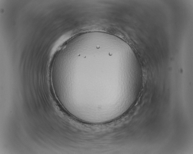 X0000076390006200610271604