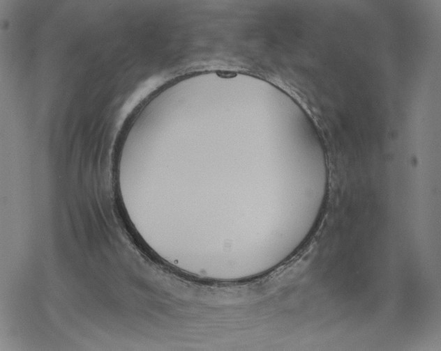 X0000076390008200610271604