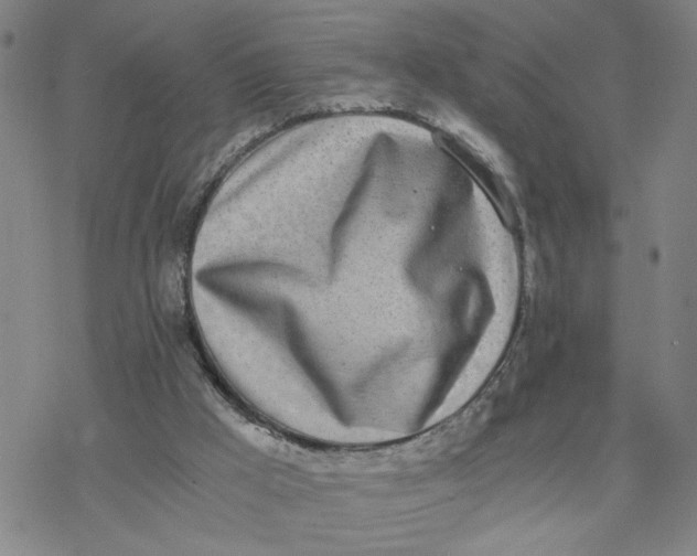 X0000076390009200610271604