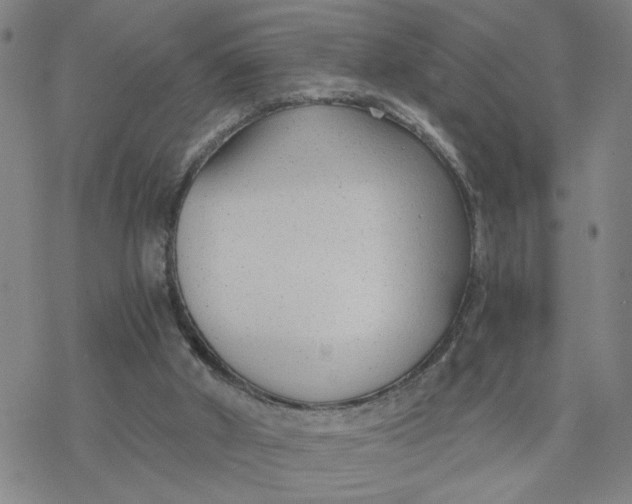 X0000076390010200610271604