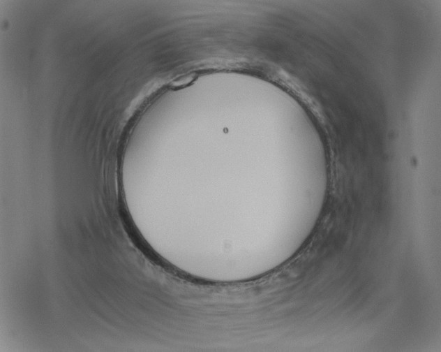 X0000076390011200610271604