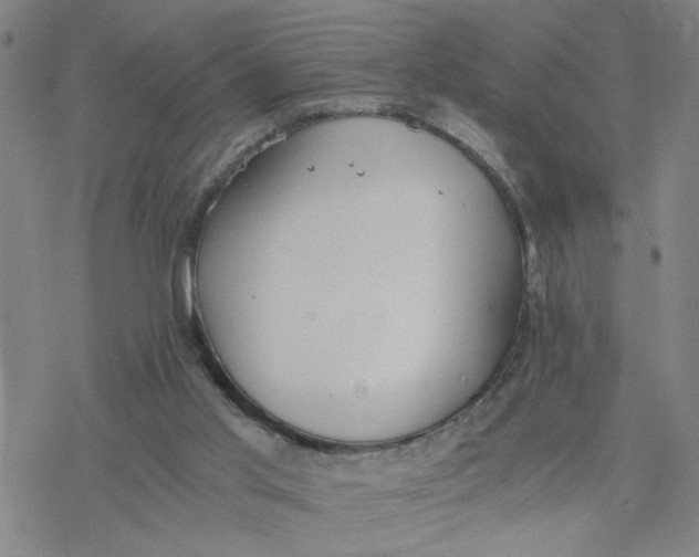 X0000076390013200610271604