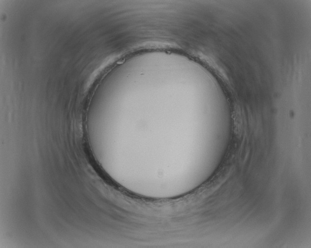 X0000076390015200610271604