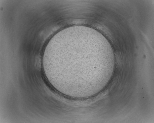 X0000076390016200610271604