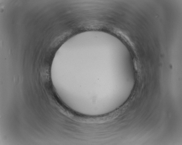 X0000076390017200610271604