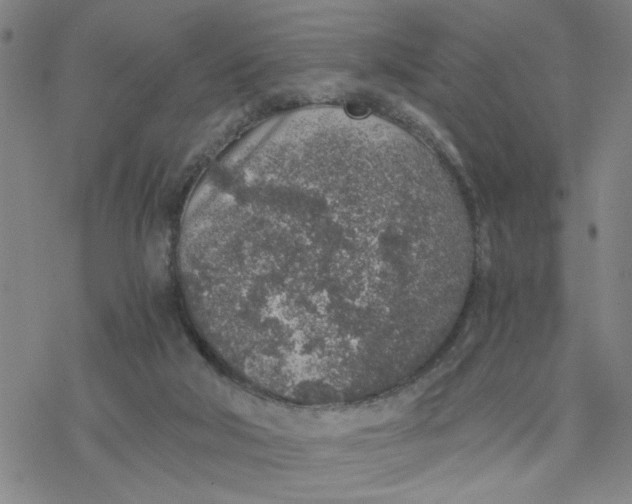 X0000076390018200610271604